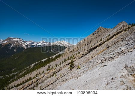 Rocky Mountain Views