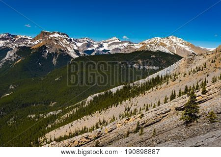 Rocky Mountain Views