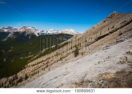 Rocky Mountain Views