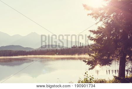 Serenity lake in Alaskan tundra