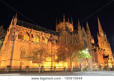 Historical architecture St Marys cathedral night cityscape Sydney Australia