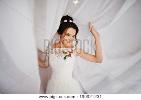 Fantastic Bride Posing With The Tulle For Her Wedding Photo Session. Portrait