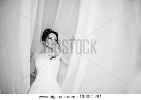 Fantastic Bride Posing With The Tulle For Her Wedding Photo Session.black And White Portrait