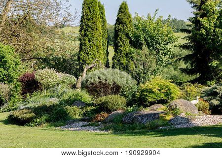 Colorful Spring Garden