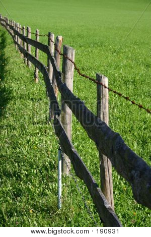 Płot graniczących zielony łąka