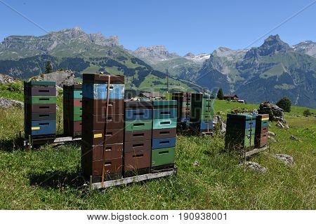 Houses for beekeeping and production of honey over Engelberg on the Swiss alps