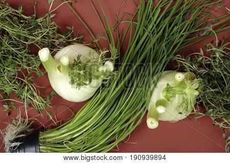 Sill life with dill roots onion shoos and thyme.