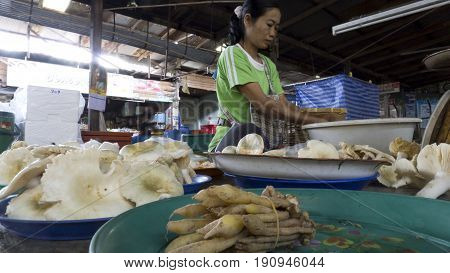 Chiang Mai Thailand 27-May-2011: A woman is working hard at the market in Chiang Mai.