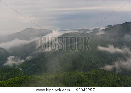 Mountain landscape shortly after spring rain. Slovenian Alps. Forest Road, venerable tree, fog, clouds and peaks. The village of Jamnik Slovenia.