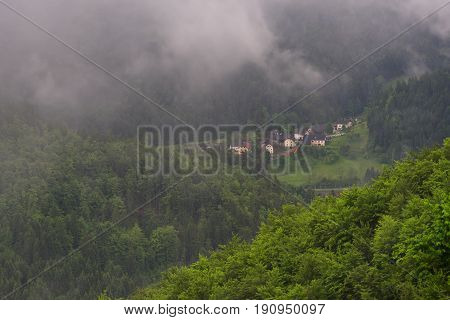 Mountain landscape shortly after spring rain. Slovenian Alps. Forest Road, venerable tree, fog, clouds and peaks. The village of Jamnik Slovenia.