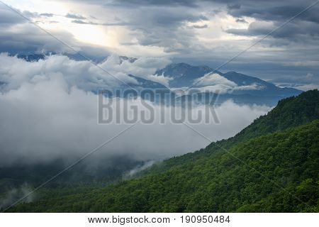 Mountain landscape shortly after spring rain. Slovenian Alps. Forest Road, venerable tree, fog, clouds and peaks. The village of Jamnik Slovenia.