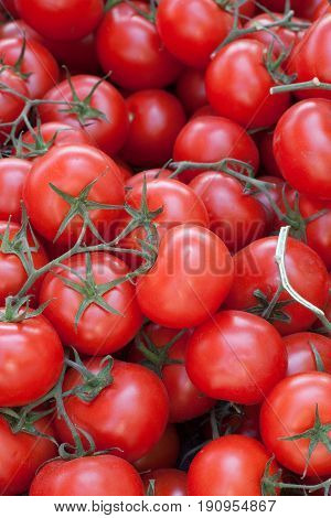 Deliciou red tomatoes. Summer tray market agrigulture farm.