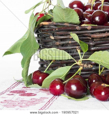 Bunches of Red cherries on a white background
