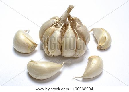 Fresh garlic isolated on white background theme.