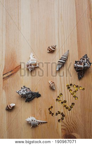Seashells on a wooden background. Symbol of summertime