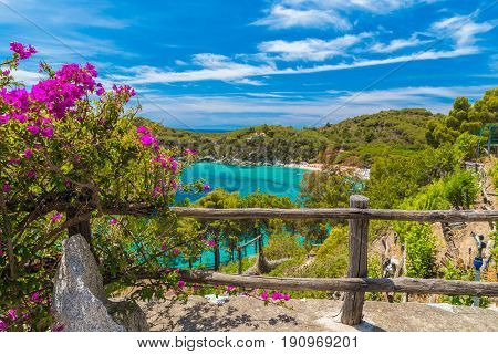 Wiev of Fetovaia beach Elba Island Tuscany Italy.