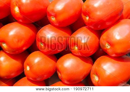 Close up of Fresh organic tomatoes. Raw vegetales