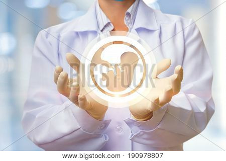 In The Doctor's Hands, The Icon Of The Embryo.