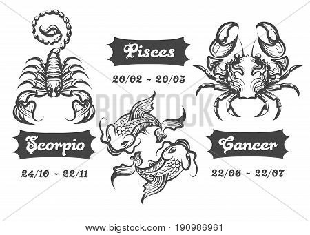 Set of Water Zodiac signs. Scorpion Fishes and Cancer drawn in engraving style. Vector illustration.