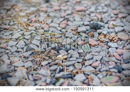 Texture and background of shallow stone. Lithoidal texture.