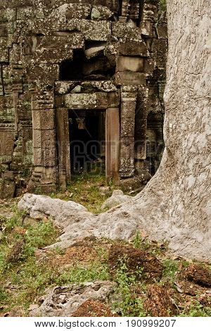 Temple Ankor Wat in Siem Reap, cambodia