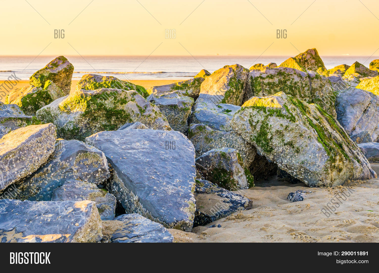 Big Row Rocks Covered Image & Photo (Free Trial) | Bigstock