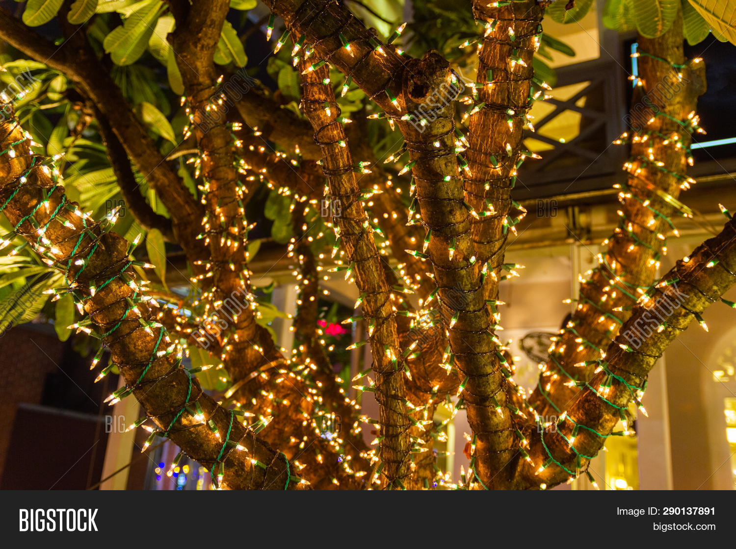Decorative Outdoor Image Photo Free Trial Stock Decorative Outdoor Image Photo Free