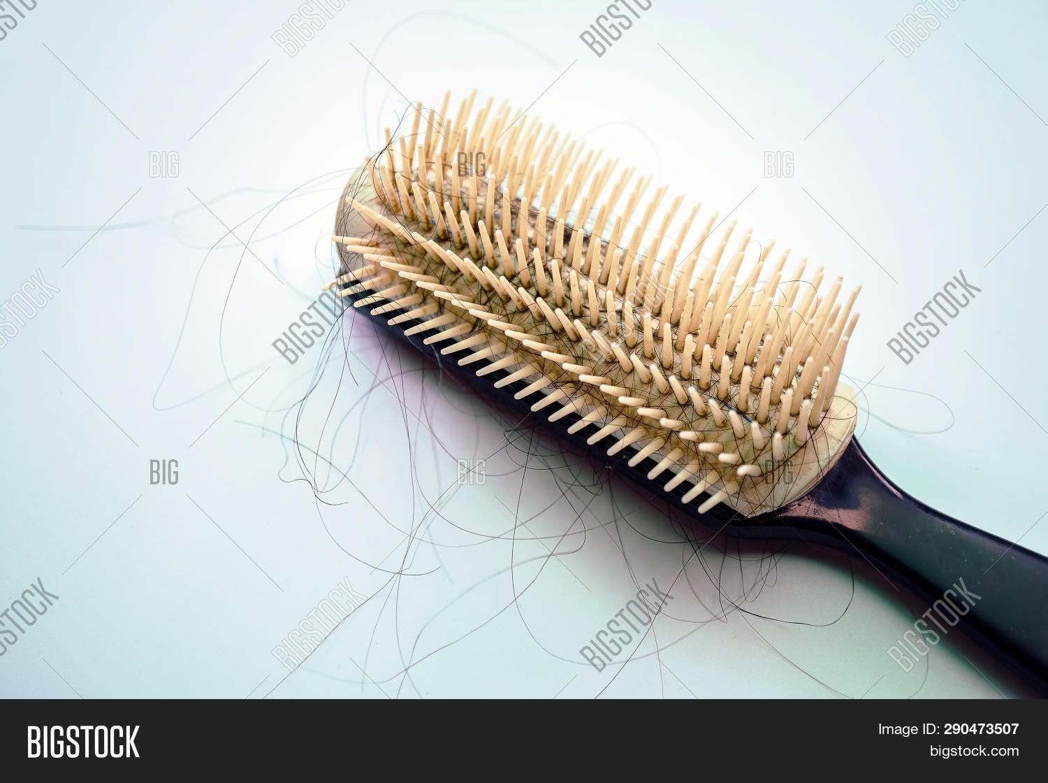 Hair Loss Comb Caught Image & Photo (Free Trial) Bigstock