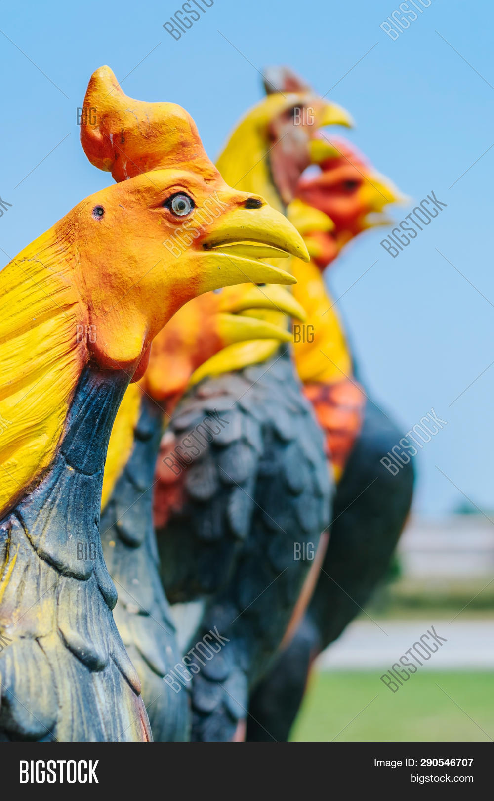 Colorful Many Rooster Image & Photo (Free Trial) Bigstock