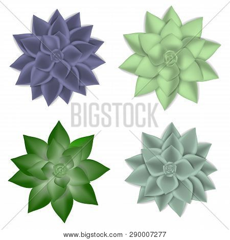 Succulent Icons Set. Realistic Set Of Succulent Vector Icons For Web Design Isolated On White Backgr