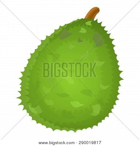King Fruit Durian Icon. Cartoon Of King Fruit Durian Vector Icon For Web Design Isolated On White Ba