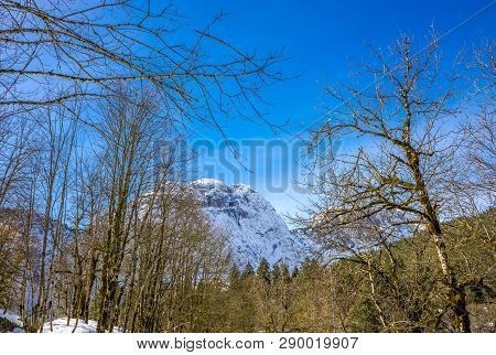 Early Spring In The Caucasus Mountains Near Ritsa Lake. In The Background Are Snow-capped Mountain P