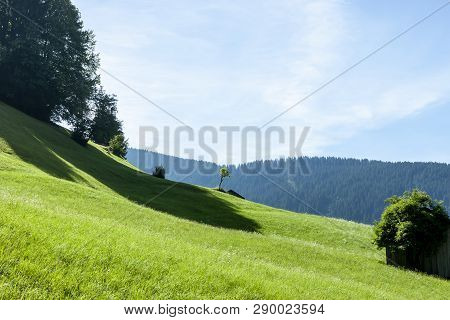 Summer Mountain Landscape Sunny Neautiful Day Austria