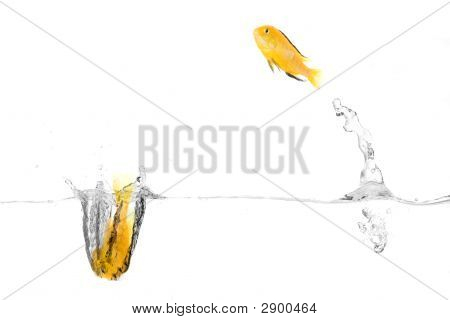 Poissons heureux