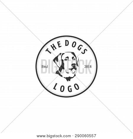 Vector Of A Labrador Puppy Face On White Background. Dog. Pet