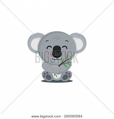 Koala Bear On Wood Branch With Green Leaves. Australian Animal Funniest Koala Sitting On Eucalyptus 