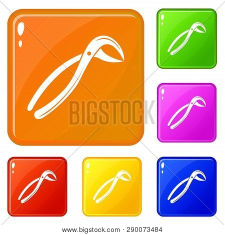 Tooth Pliers Medicine Icons Set Collection Vector 6 Color Isolated On White Background
