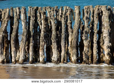 Big Breakwater, 3000 Trunks To Defend The City From The Tides, Plage De L Eventail Beach In Saint-ma