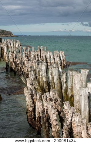 Big Breakwater, 3000 Trunks To Defend The City From The Tides, Plage De L Eventail Beach In Saint-ma