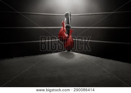 Red Boxing Gloves Hanging In The Ring