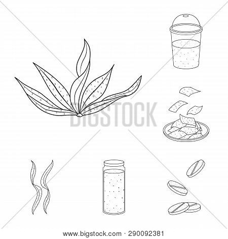 Vector Design Of Food And Vegan Icon. Set Of Food And Weed Stock Vector Illustration.