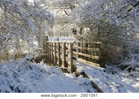 雪