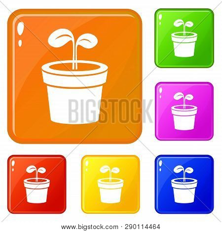 Plant Icons Set Collection Vector 6 Color Isolated On White Background