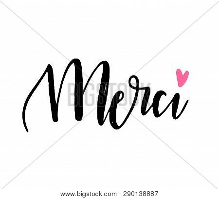 Merci. Thank You On French. Vector Modern Calligraphy Trendy Lettering Card. Thirt, Poster Or Banner