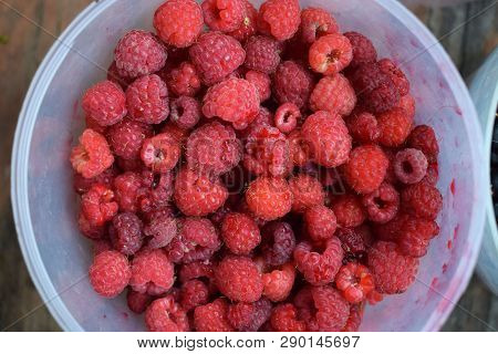 Heap Of Fresh Red Ripe Raspberries In Jar Harvest Natural
