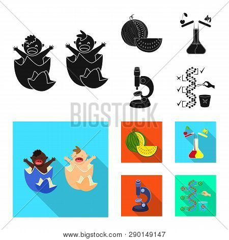 Vector Design Of Test And Synthetic Icon. Set Of Test And Laboratory Vector Icon For Stock.