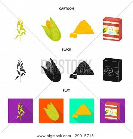 Vector Design Of Cornfield And Vegetable Symbol. Set Of Cornfield And Vegetarian Stock Vector Illust