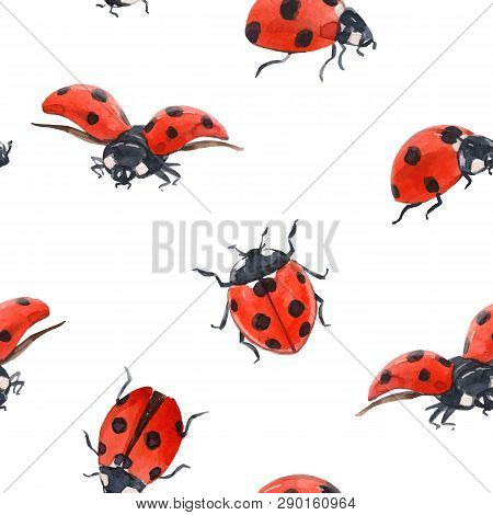 Beautiful Vector Seamless Pattern With Hand Drawn Watercolor Ladybugs Ladybirds