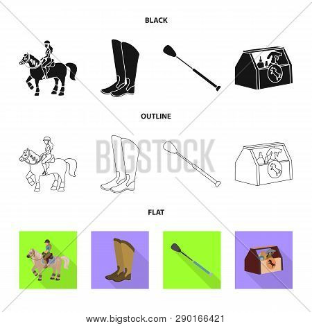 Isolated Object Of Equipment And Riding Symbol. Set Of Equipment And Competition Stock Vector Illust