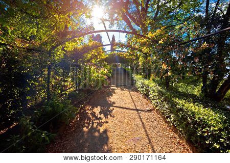 Florence Italian Garden Green Tunnel Walkway At Sun Haze, Tuscany Region Of Italy